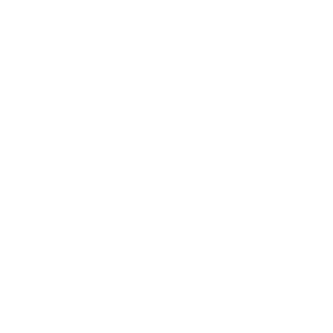 Digital Watchman