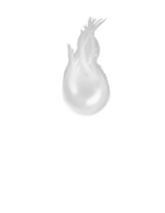 SB III